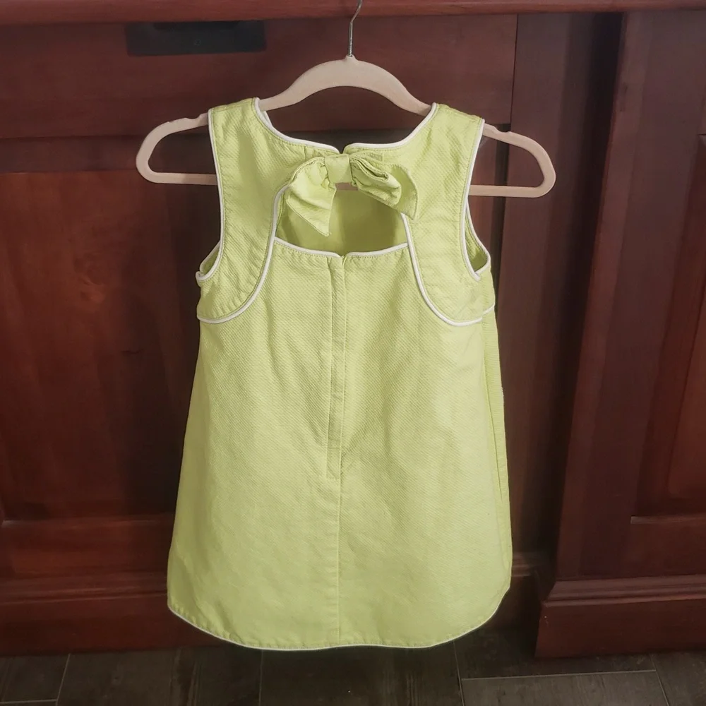 Gymboree Dress with Flowers detail